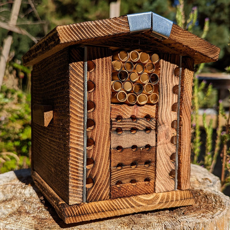 A carpenter bee hive is a nest built by carpenter bees for shelter and breeding.