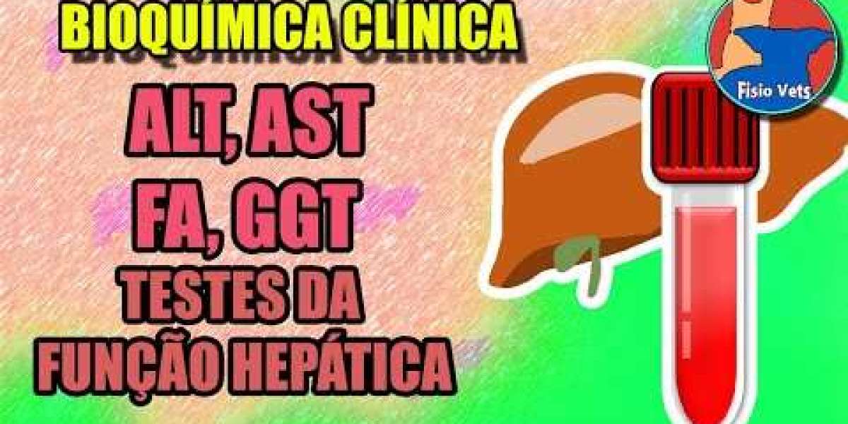 Hipertensão em Cães: Soluções Eficazes para o Bem-Estar do Seu Melhor Amigo