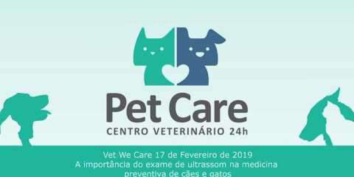 Laboratórios Veterinários de Confiança em São Paulo: Sua Solução Local Mais Próxima